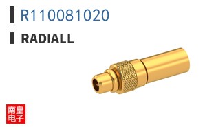 R110081020