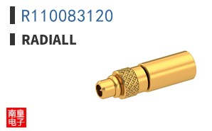 R110083120