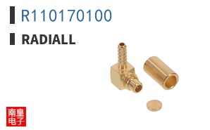 R110170100
