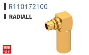 R110172100