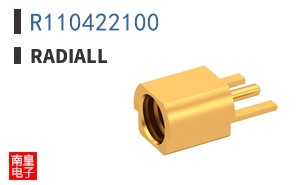 R110422100