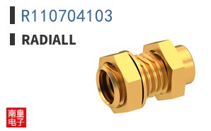 R110704103