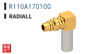 R110A170100