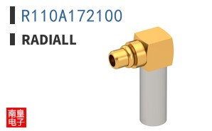 R110A172100