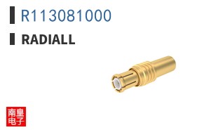 R113081000