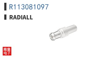 R113081097