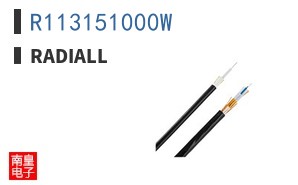 R113151000W