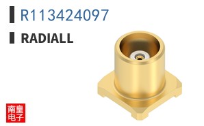 R113424097