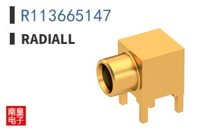 R113665147
