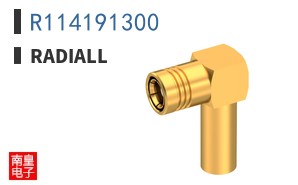 R114191300