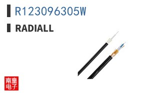 R123096305W