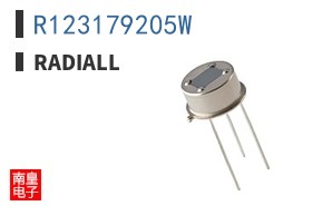 R123179205W