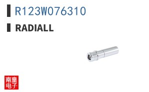 R123W076310