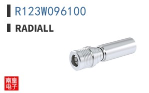 R123W096100