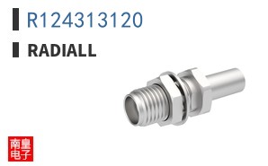 R124313120