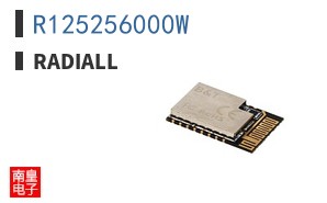 R125256000W