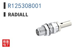R125308001