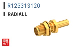 R125313120
