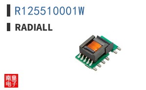 R125510001W