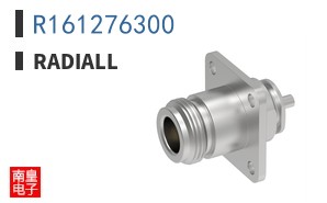 R161276300