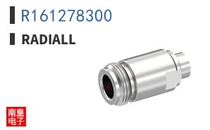 R161278300