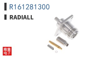 R161281300