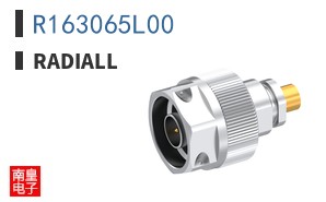 R163065L00