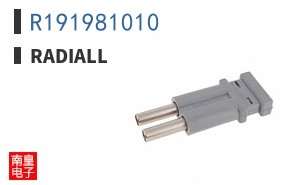 R191981010