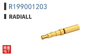 R199001203