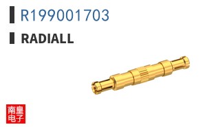 R199001703