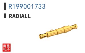R199001733