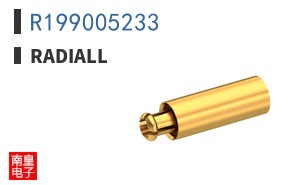 R199005233
