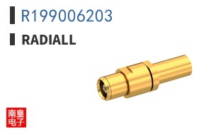 R199006203