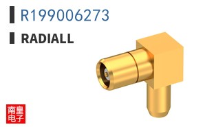 R199006273