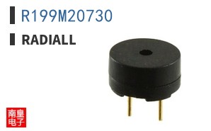 R199M20730
