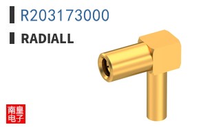 R203173000