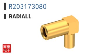 R203173080