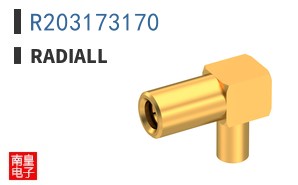 R203173170