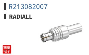 R213082007