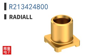 R213424800