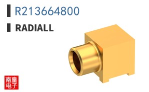 R213664800