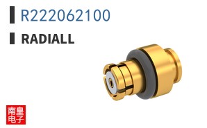 R222062100