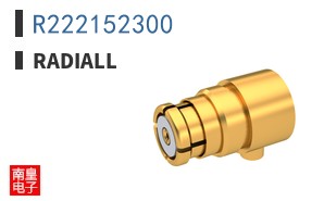 R222152300