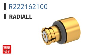 R222162100