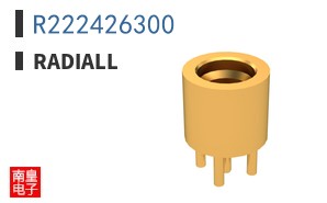 R222426300