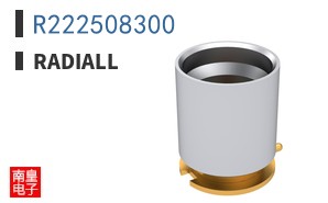 R222508300