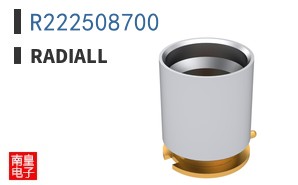 R222508700