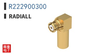 R222900300