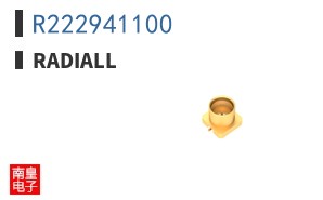 R222941100