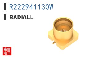 R222941130W